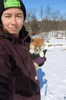 AKC Euro, a male Shiba Inu for sale in New Bloomfield, PA – Photo 5 of 10