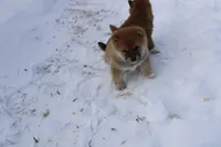 processed/7d9bdc62-0979-4ccd-9018-77b8c0381d9b/listing/d5aab1ce-9b4b-4a23-897a-479911882d23/6e07eea7-35d6-473b-8111-104111b44940