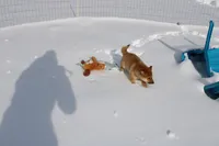 processed/7d9bdc62-0979-4ccd-9018-77b8c0381d9b/listing/e1aae467-5910-4fff-a0e8-f6ef04ec4733/25a5a8f9-640a-48a0-8ace-3b46f6062005