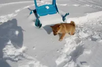 processed/7d9bdc62-0979-4ccd-9018-77b8c0381d9b/listing/e1aae467-5910-4fff-a0e8-f6ef04ec4733/6629ce78-ca29-4ffa-b6da-744e4ff3f0a8