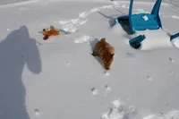 processed/7d9bdc62-0979-4ccd-9018-77b8c0381d9b/listing/e1aae467-5910-4fff-a0e8-f6ef04ec4733/d259edd2-ff20-41a4-a649-5cf6bc4a2c06