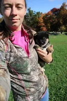 AKC Macchiato , a male Shiba Inu for sale in New Bloomfield, PA – 2 of 9