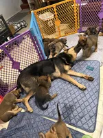 Facility photo