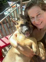 Zeus, a male Belgian Malinois and German Shepherd Dog for sale in Cockeysville, MD – 10 of 10