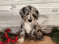 processed/7da3318d-f109-4800-80d6-8ec6cca7057d/listing/0382ad39-31d2-4a73-bf89-889cfdbf9952/0576b84d-2aba-4674-822c-21ef67b50a1f