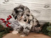 processed/7da3318d-f109-4800-80d6-8ec6cca7057d/listing/0382ad39-31d2-4a73-bf89-889cfdbf9952/8c399f01-d1a4-44e4-8438-d82020242006