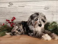 processed/7da3318d-f109-4800-80d6-8ec6cca7057d/listing/0382ad39-31d2-4a73-bf89-889cfdbf9952/cada2f92-d61a-40ee-adb9-a1a10e514f6c