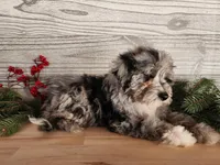 processed/7da3318d-f109-4800-80d6-8ec6cca7057d/listing/0382ad39-31d2-4a73-bf89-889cfdbf9952/e15e559f-f306-48dd-bf25-5722faae4533