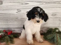 processed/7da3318d-f109-4800-80d6-8ec6cca7057d/listing/0c7237bf-b708-46c9-ae79-4ac289211454/34a8a437-45b1-48f9-b2d9-cf8fac0d9b22