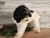 processed/7da3318d-f109-4800-80d6-8ec6cca7057d/listing/0c7237bf-b708-46c9-ae79-4ac289211454/5df89b4d-379c-4bf1-bcc4-eccb2658a4bc