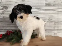 processed/7da3318d-f109-4800-80d6-8ec6cca7057d/listing/0c7237bf-b708-46c9-ae79-4ac289211454/5e6ba339-22a1-4eb5-b7ef-72a13c6e788d