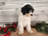 processed/7da3318d-f109-4800-80d6-8ec6cca7057d/listing/0c7237bf-b708-46c9-ae79-4ac289211454/86177bd5-80c4-42b3-8ebf-4daa518ee272