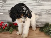 processed/7da3318d-f109-4800-80d6-8ec6cca7057d/listing/0c7237bf-b708-46c9-ae79-4ac289211454/ab0aeb14-47f9-4d69-b928-f1d7c0cd317c