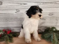 processed/7da3318d-f109-4800-80d6-8ec6cca7057d/listing/0c7237bf-b708-46c9-ae79-4ac289211454/bab67a3d-7361-4e15-84d1-0c265c4e932c