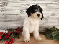 processed/7da3318d-f109-4800-80d6-8ec6cca7057d/listing/0c7237bf-b708-46c9-ae79-4ac289211454/eb296eef-cc1a-47fd-9daa-1ac70fc12a7b