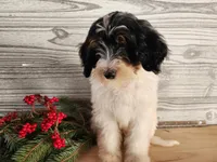 processed/7da3318d-f109-4800-80d6-8ec6cca7057d/listing/0c7237bf-b708-46c9-ae79-4ac289211454/f607b4f3-789a-4eb1-8d50-083ac5c33e3a