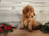 processed/7da3318d-f109-4800-80d6-8ec6cca7057d/listing/14f75e81-b236-4bb7-ad03-98ee563754eb/31bfc369-6354-4d67-8860-1bc27f058b0c