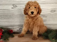 processed/7da3318d-f109-4800-80d6-8ec6cca7057d/listing/14f75e81-b236-4bb7-ad03-98ee563754eb/68272611-4343-4478-8e5e-8bc9c14155df