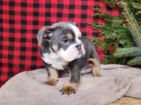 processed/7da3318d-f109-4800-80d6-8ec6cca7057d/listing/1e3fba10-cd4c-4454-a55b-832c8a88324c/0fc3c59b-f4ef-4c43-929f-0031f23889b5