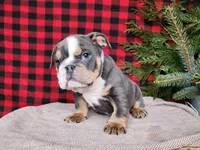 processed/7da3318d-f109-4800-80d6-8ec6cca7057d/listing/1e3fba10-cd4c-4454-a55b-832c8a88324c/623e5333-64b6-48a4-89a8-e726609f7cfb