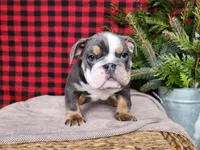 processed/7da3318d-f109-4800-80d6-8ec6cca7057d/listing/1e3fba10-cd4c-4454-a55b-832c8a88324c/8feef071-9008-432d-b4aa-1209d2ebdb49