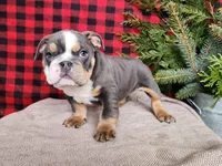 processed/7da3318d-f109-4800-80d6-8ec6cca7057d/listing/1e3fba10-cd4c-4454-a55b-832c8a88324c/b07042de-3351-4bd7-9d96-fa8efa32d6bb