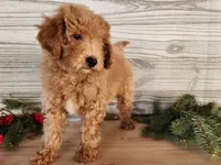 processed/7da3318d-f109-4800-80d6-8ec6cca7057d/listing/2cdfc032-5cf4-4492-8bfd-1d2a404bfcff/143f15b0-3bae-444c-bf0b-4f5e7afe03c9