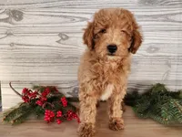 processed/7da3318d-f109-4800-80d6-8ec6cca7057d/listing/2cdfc032-5cf4-4492-8bfd-1d2a404bfcff/3d938fd5-22d2-48bd-80f3-35a75aa19dee