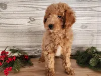 processed/7da3318d-f109-4800-80d6-8ec6cca7057d/listing/2cdfc032-5cf4-4492-8bfd-1d2a404bfcff/afe54770-f47a-490c-93bc-7373d889675d