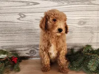 processed/7da3318d-f109-4800-80d6-8ec6cca7057d/listing/2cdfc032-5cf4-4492-8bfd-1d2a404bfcff/b72d142e-21c1-4299-9dc4-30714113dc4f