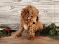 processed/7da3318d-f109-4800-80d6-8ec6cca7057d/listing/2cdfc032-5cf4-4492-8bfd-1d2a404bfcff/e2ec6f8f-48ea-408c-9565-9d9a931b8db0