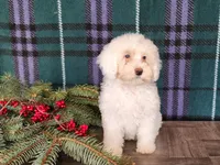 processed/7da3318d-f109-4800-80d6-8ec6cca7057d/listing/652ef6ec-9922-420b-b569-c15f101bd2ee/20708b1b-2e3e-4345-96b4-b7cd8b10e3ce