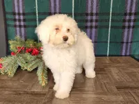 processed/7da3318d-f109-4800-80d6-8ec6cca7057d/listing/652ef6ec-9922-420b-b569-c15f101bd2ee/2ec731c3-40f5-4f9e-a306-1f67dd35a4d0