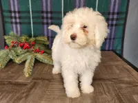 processed/7da3318d-f109-4800-80d6-8ec6cca7057d/listing/652ef6ec-9922-420b-b569-c15f101bd2ee/8756d808-d7d5-45d8-bb5a-f8d384d3a06c