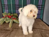 processed/7da3318d-f109-4800-80d6-8ec6cca7057d/listing/652ef6ec-9922-420b-b569-c15f101bd2ee/a148c76e-75f2-484c-a4b4-d981a5fc3eb2