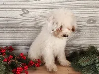 processed/7da3318d-f109-4800-80d6-8ec6cca7057d/listing/67b16041-a88f-43b5-b2bd-f2161cf4477c/3fc040ab-a92d-4b34-a348-92ac0b065b7f