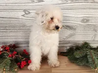 processed/7da3318d-f109-4800-80d6-8ec6cca7057d/listing/67b16041-a88f-43b5-b2bd-f2161cf4477c/70894961-67d9-4c06-a1f2-8ffd7b09ff7a