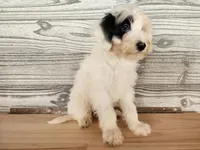 processed/7da3318d-f109-4800-80d6-8ec6cca7057d/listing/7264e39f-a909-4084-91b9-88e8767667ba/4a2788c1-d78e-45a4-829f-4298f7f1cc98