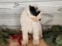 processed/7da3318d-f109-4800-80d6-8ec6cca7057d/listing/7264e39f-a909-4084-91b9-88e8767667ba/69da6d32-a337-4d65-86a5-d2eb978b2eed