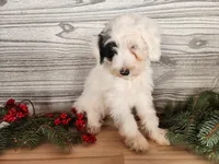 processed/7da3318d-f109-4800-80d6-8ec6cca7057d/listing/7264e39f-a909-4084-91b9-88e8767667ba/77e0480b-2eec-46b2-9c47-7d6ff6af6ee8