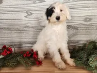 processed/7da3318d-f109-4800-80d6-8ec6cca7057d/listing/7264e39f-a909-4084-91b9-88e8767667ba/ab8d2c76-6514-481f-b10e-0e2c6804b7e8