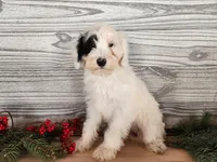 processed/7da3318d-f109-4800-80d6-8ec6cca7057d/listing/7264e39f-a909-4084-91b9-88e8767667ba/d84d99da-35d6-4352-907b-6f36af805737