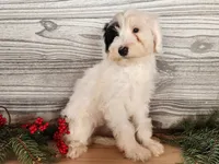 processed/7da3318d-f109-4800-80d6-8ec6cca7057d/listing/7264e39f-a909-4084-91b9-88e8767667ba/f1b1e63c-bf68-4e6e-a921-33f60bbddd98