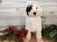 processed/7da3318d-f109-4800-80d6-8ec6cca7057d/listing/7264e39f-a909-4084-91b9-88e8767667ba/fbc1e2bd-74a3-41fe-ba72-526ef23fbdca