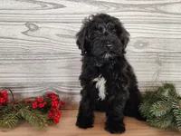 processed/7da3318d-f109-4800-80d6-8ec6cca7057d/listing/8834311a-9fbd-447c-a16a-d95e38fbee0b/43c1d42a-0352-42c5-85b5-33051da25996