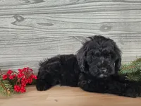 processed/7da3318d-f109-4800-80d6-8ec6cca7057d/listing/8834311a-9fbd-447c-a16a-d95e38fbee0b/50c31fce-b94b-4585-9c92-0bb12af9b33f