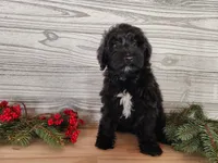 processed/7da3318d-f109-4800-80d6-8ec6cca7057d/listing/8834311a-9fbd-447c-a16a-d95e38fbee0b/75035a40-26e7-47d5-9289-68bde196d637