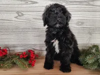 processed/7da3318d-f109-4800-80d6-8ec6cca7057d/listing/8834311a-9fbd-447c-a16a-d95e38fbee0b/819b80de-6396-452a-b220-5bf306804d79