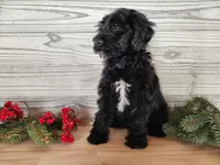 processed/7da3318d-f109-4800-80d6-8ec6cca7057d/listing/8834311a-9fbd-447c-a16a-d95e38fbee0b/a44bfa40-013f-46b1-9239-bd00f16ea3b8