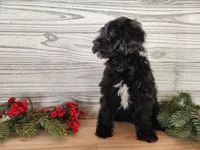 processed/7da3318d-f109-4800-80d6-8ec6cca7057d/listing/8834311a-9fbd-447c-a16a-d95e38fbee0b/d3443a9e-ca89-4e40-bb13-c2142c829cf3